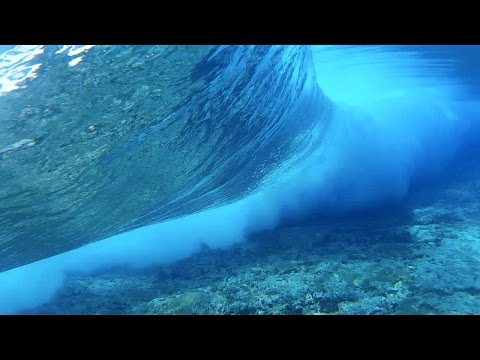 Raro 2016 highlights