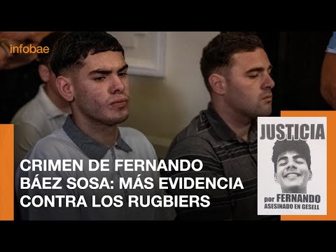 Qué pasó en la séptima jornada del juicio por el crimen de Fernando Báez Sosa