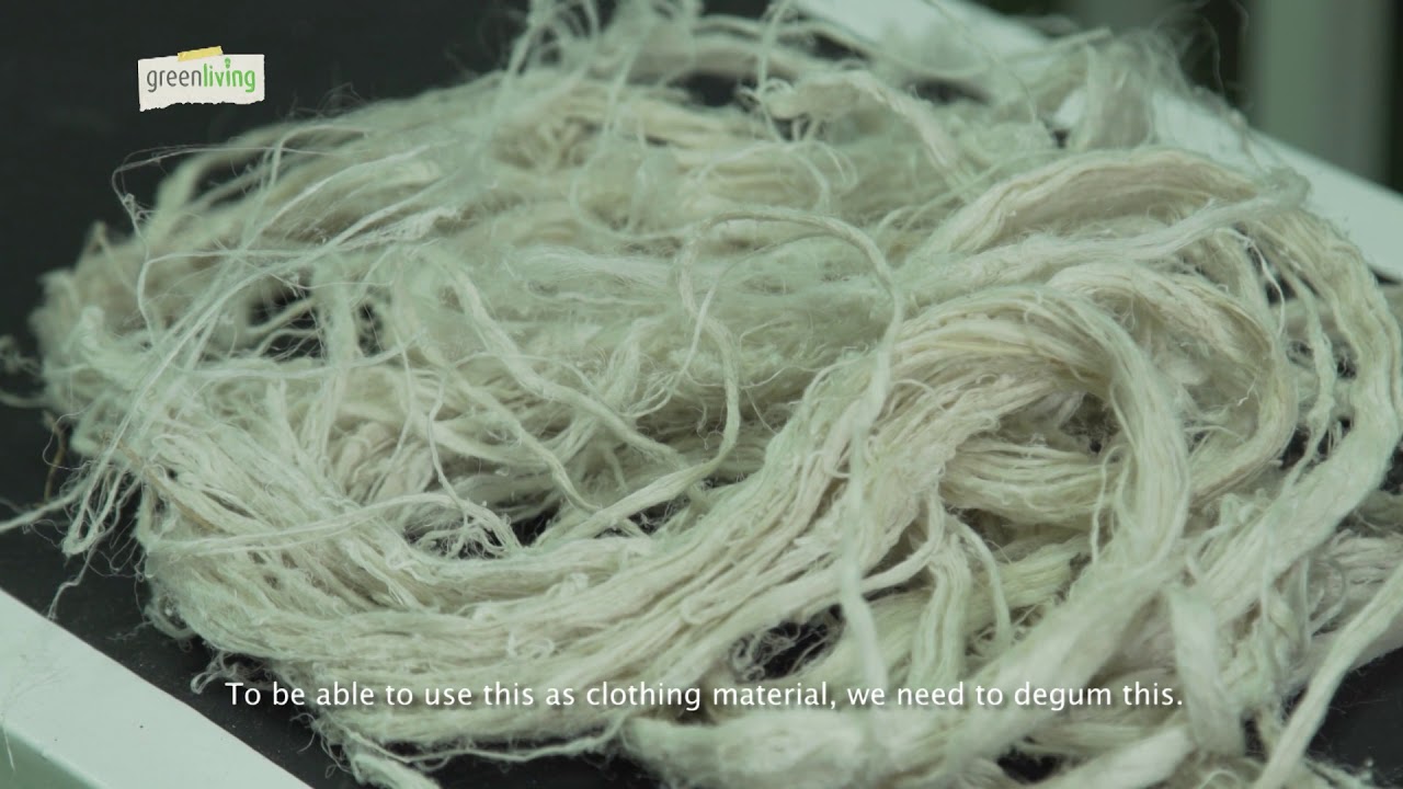 GREEN LIVING   Philippine Textile Research Institute