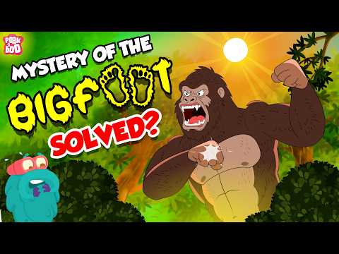 Could BIGFOOT Be Real? 👣 Sasquatch Mystery Solved | Bigfoot Encounters | The Dr. Binocs Show