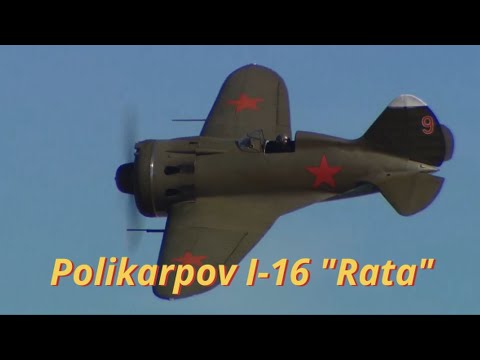 Polikarpov I-16 Rata Display