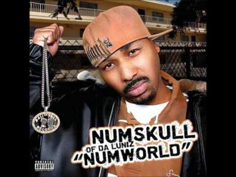 Numskull feat. Hashflow & Sean P - I'm a Rockstar