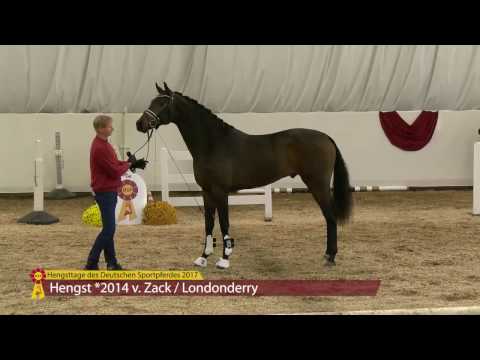 KN 44 v. Zack - Londonderry