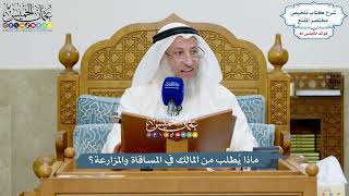 3965 - ماذا يُطلب من المالك في المساقاة والمزارعة؟ - عثمان الخميس