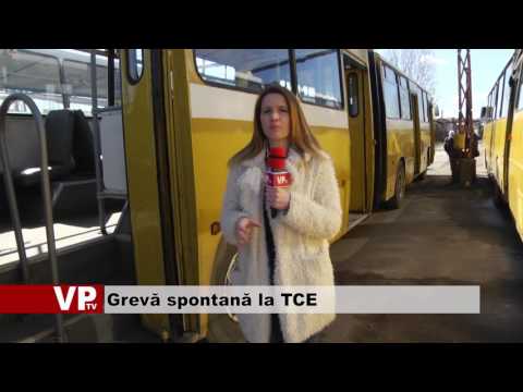 Grevă spontană la TCE