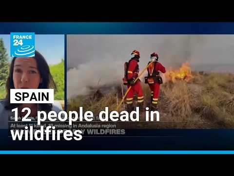 Spain faces deadly wildfires, at least 12 killed, 19 missing in Andalusia