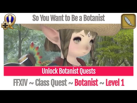FFXIV Unlock Quest Botanist Level 1 ~ A Realm Reborn ~ So You Want to Be a Botanist