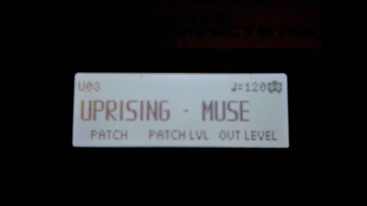 Muse  - Uprising ( BassBuzz Cover )