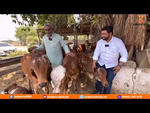 Girgoras nim panchang ghrita