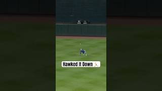 Daulton Varsho tracked it down ???? #MLB #BlueJays