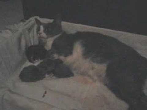 Parto de Maricarmen Part I