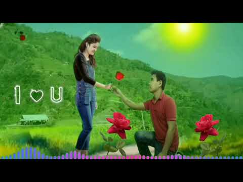 Ma Timilai Dherai Maya Garchhu