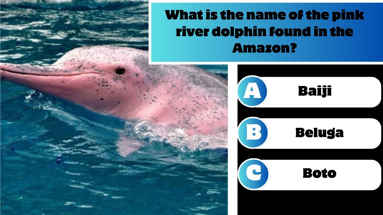 “Explore the Amazon Rainforest: Ultimate General Knowledge Quiz”