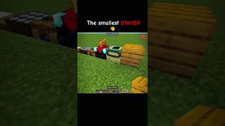 The smallest STAYERS IN Minecraft... #minecraft #mojang #stayer #Gamer_T-rex.s