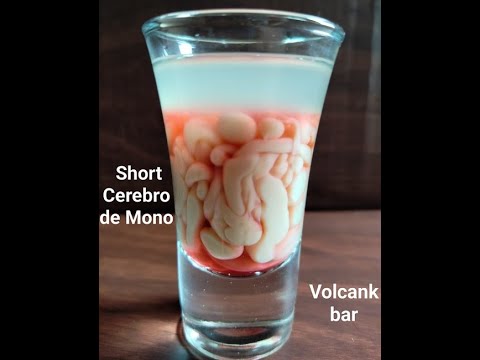 Cómo Hacer el Short Cerebro de Mono