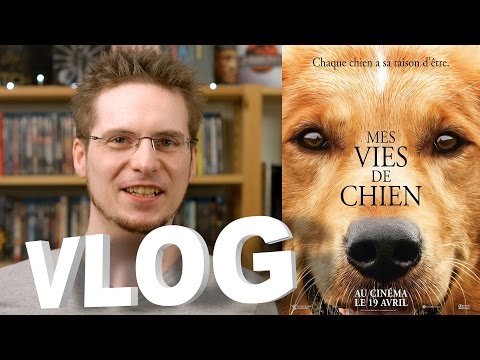 Vlog - Mes Vies de Chien