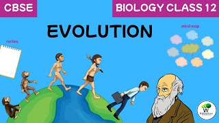 Class 12 Biology Chapter 6 Evolution | Mind map, Notes and Worksheets