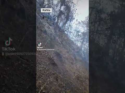 Asi estubo el insendio forestal en San Juan Ixcoy Huehuetenango.#yutubeshorts #viralvideo
