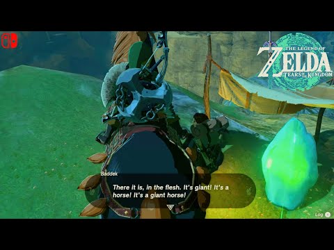 Legend Zelda Tears of the Kingdom - Shrine Quest: Ride The Giant Horse Guide & Faron Grasslands