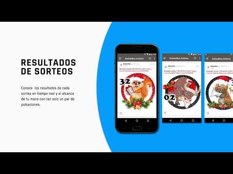 Animalitos Activos Video