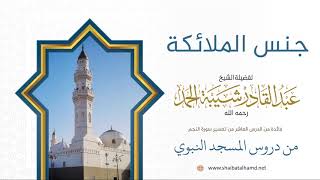 صورة 132. جنس الملائكة – الشيخ عبدالقادر شيبة الحمد رحمه الله