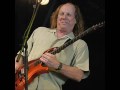 Adrian Belew - Never Enough