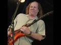 Adrian Belew - Never Enough 