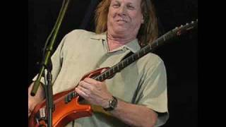 Adrian Belew - Never Enough
