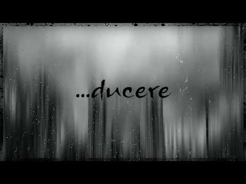 12. Cortex - ...ducere (feat. Shayan)