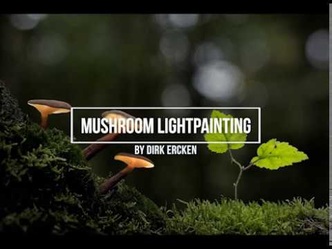 Mushroom light painting tutorial