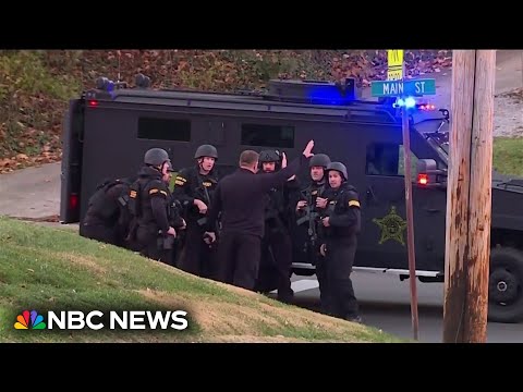 What is swatting? Examples and prevention tips