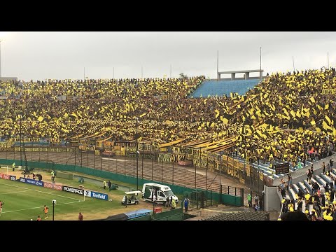 "HINCHADA DE PEÑAROL 0-1 Nacional / Semifinal Campeonato Uruguayo 2019 /" Barra: Barra Amsterdam &bull; Club: Peñarol
