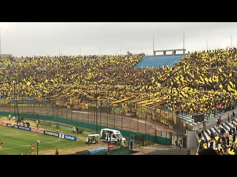 "HINCHADA DE PEÑAROL 0-1 Nacional / Semifinal Campeonato Uruguayo 2019 /" Barra: Barra Amsterdam • Club: Peñarol