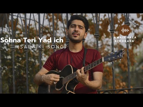 Sohna Teri Yad ich (Cover song)