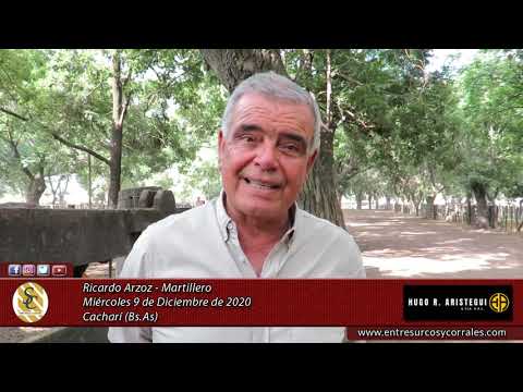 09-12-20 - Ricardo Arzoz - Martillero - Hugo R. Aristegui y Cía. S.R.L. -  Cacharí (Bs.As.)