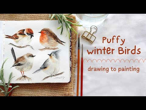 Puffy Winter Birds with Watercolors: Step by Step Tutorial 🦜