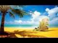 Flo Rida - Whistle (Insan3Lik3 Remix) 