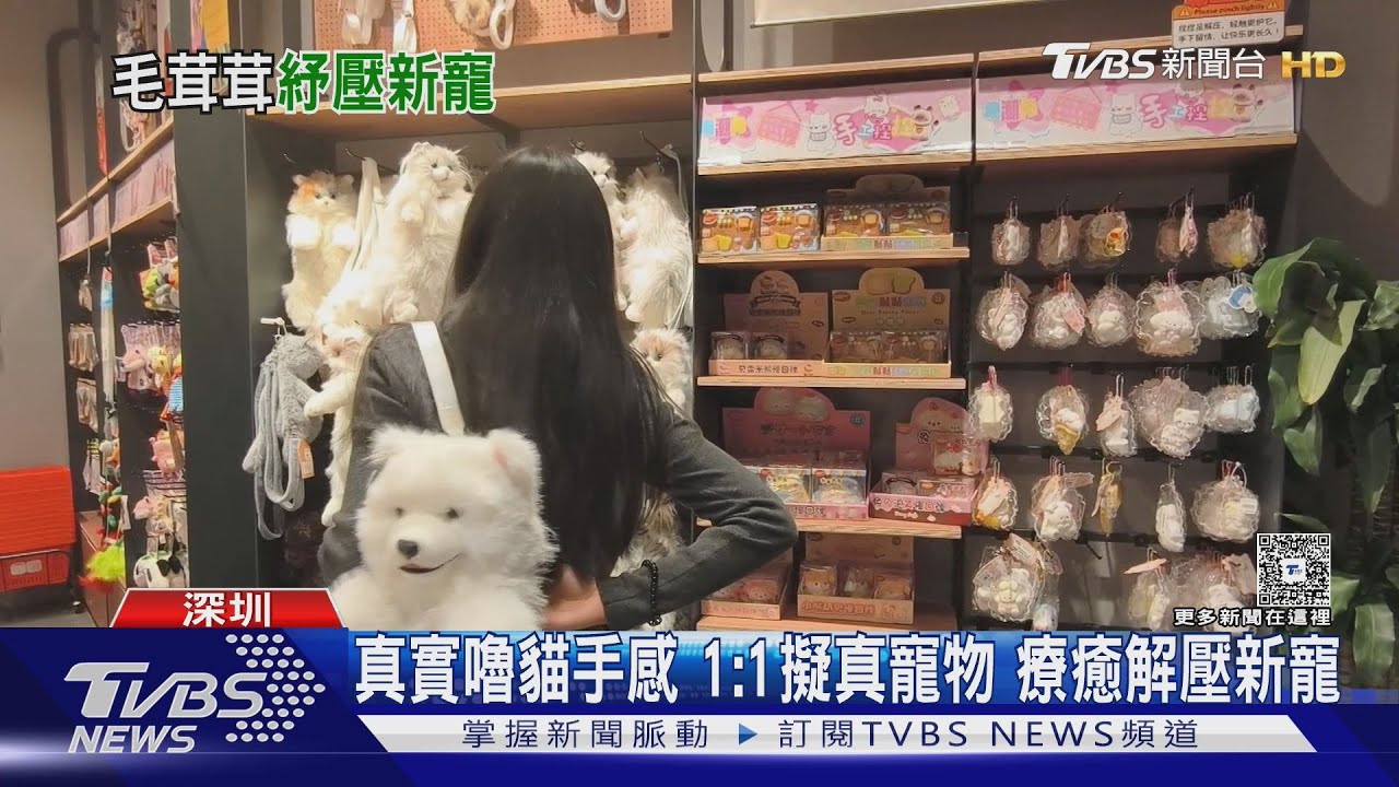 犒賞自己成顯學！彈珠台與擬真寵物　比滑手機更療癒