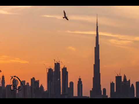 قدر قدر أصيل أبو بكر