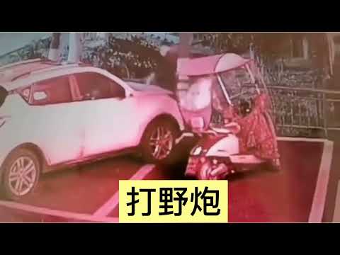 野外交合