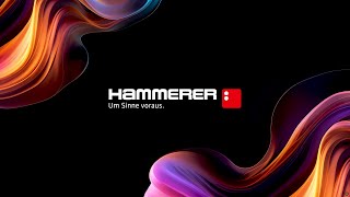 Hammerer - Werbe- & Digitalagentur