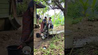 Download lagu duh ieu tatangga cai cai wae d parebutkeun ...#komedilucu #iinungsia #reel mp3