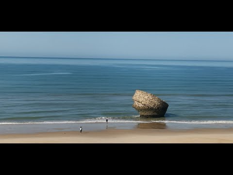 Schmetterling I'm Sommerwind - Die Flippers
