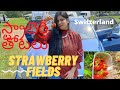 స్ట్రాబెర్రీ తోటలు Chudam Randi Switzerland Lo Telugu Ammayi Telug