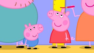How Tall Are Peppa And George 📏 | Peppa Pig Official Full Episodes