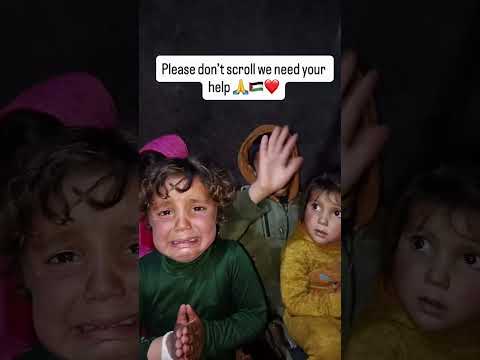 Donation link in bio #greenscreen #fypageシ゚ #freepalestine🇵🇸 #florida