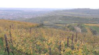 preview picture of video 'Ihringen, Kaiserstuhl (Baden).'