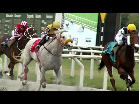 221223 c07 DON BLONDIS (BRZ)