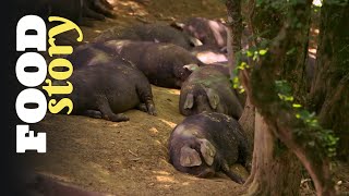 Thumbnail del capítulo