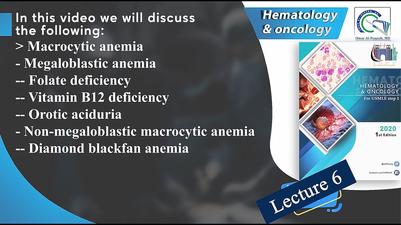 Megaloblastic anemia: Folate deficiency, Vitamin B12 deficiency, & Orotic aciduria
